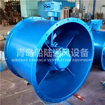 CBZ-110B Marine explosion-proof Axial fan