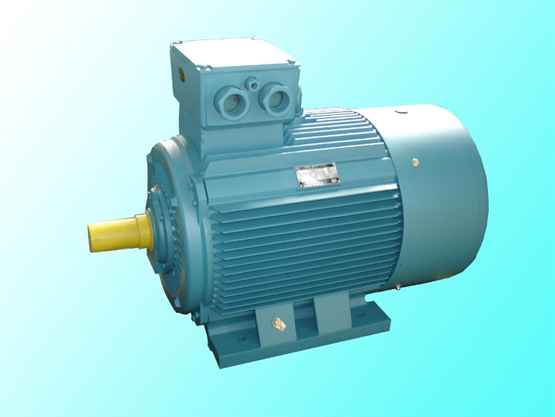 Y-H Series Three-phase Marine Motor