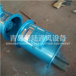 CZF30A Marine Axial Fan