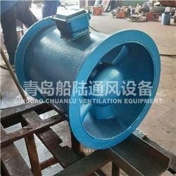CZF40B Marine Axial Flow Ventilator