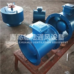 CZF45A Marine Axial Fan
