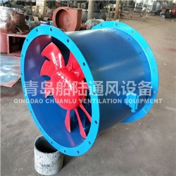 CZF90B Marine Axial Flow Blower