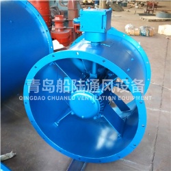 CBZ-50C Marine explosion-proof Axial blower