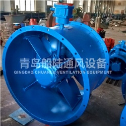 CBZ-90C Marine explosion-proof Axial fan