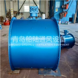 CBZ-100D Marine explosion-proof Axial ventilating fan