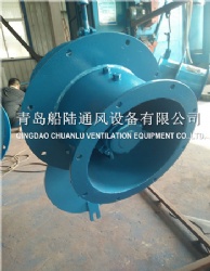 CWZ-250G Marine Small-sized Axial Blower