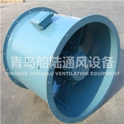 Marine axial flow fan for cargo hold