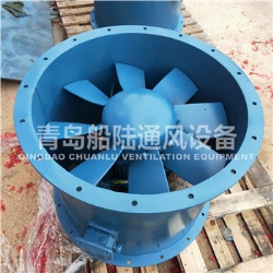 JCZ-80B Marine cargo hold ventilation fan(60HZ,7.5KW)